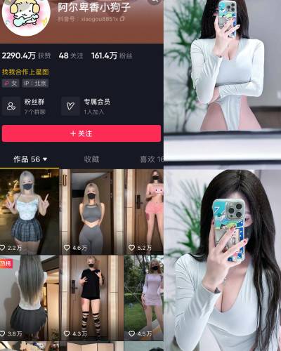 抖音 阿尔卑香小狗子 微密圈图片资源 NO.041期 【10P2V】最新至:2024.1.05