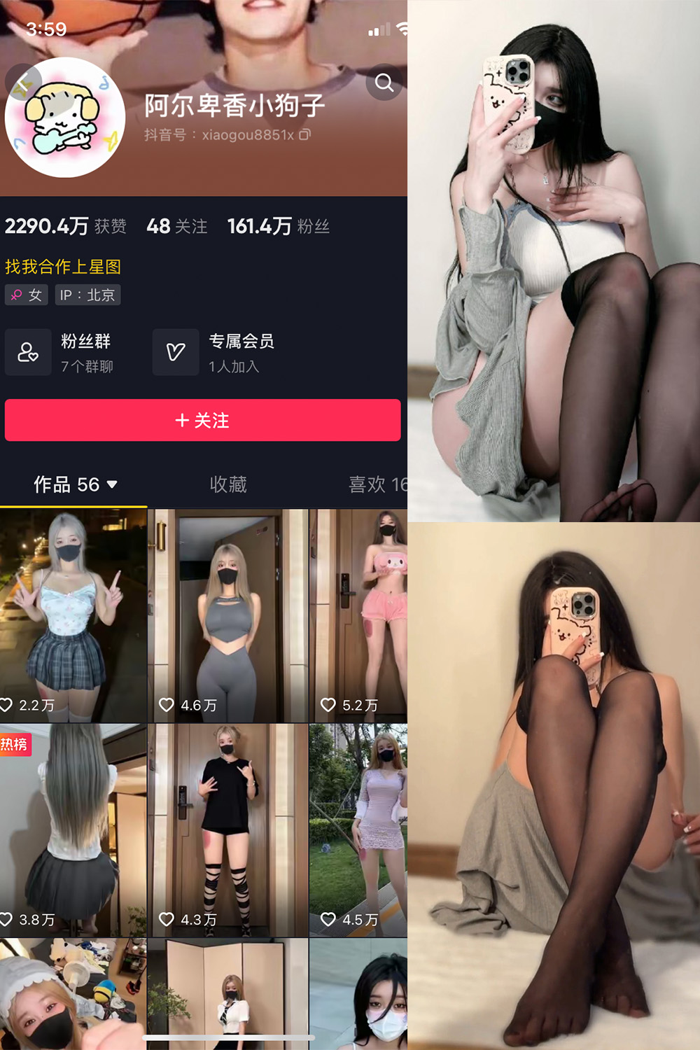 抖音 阿尔卑香小狗子 微密圈图片资源  NO.042期 【6P1V】最新至：2024.1.24