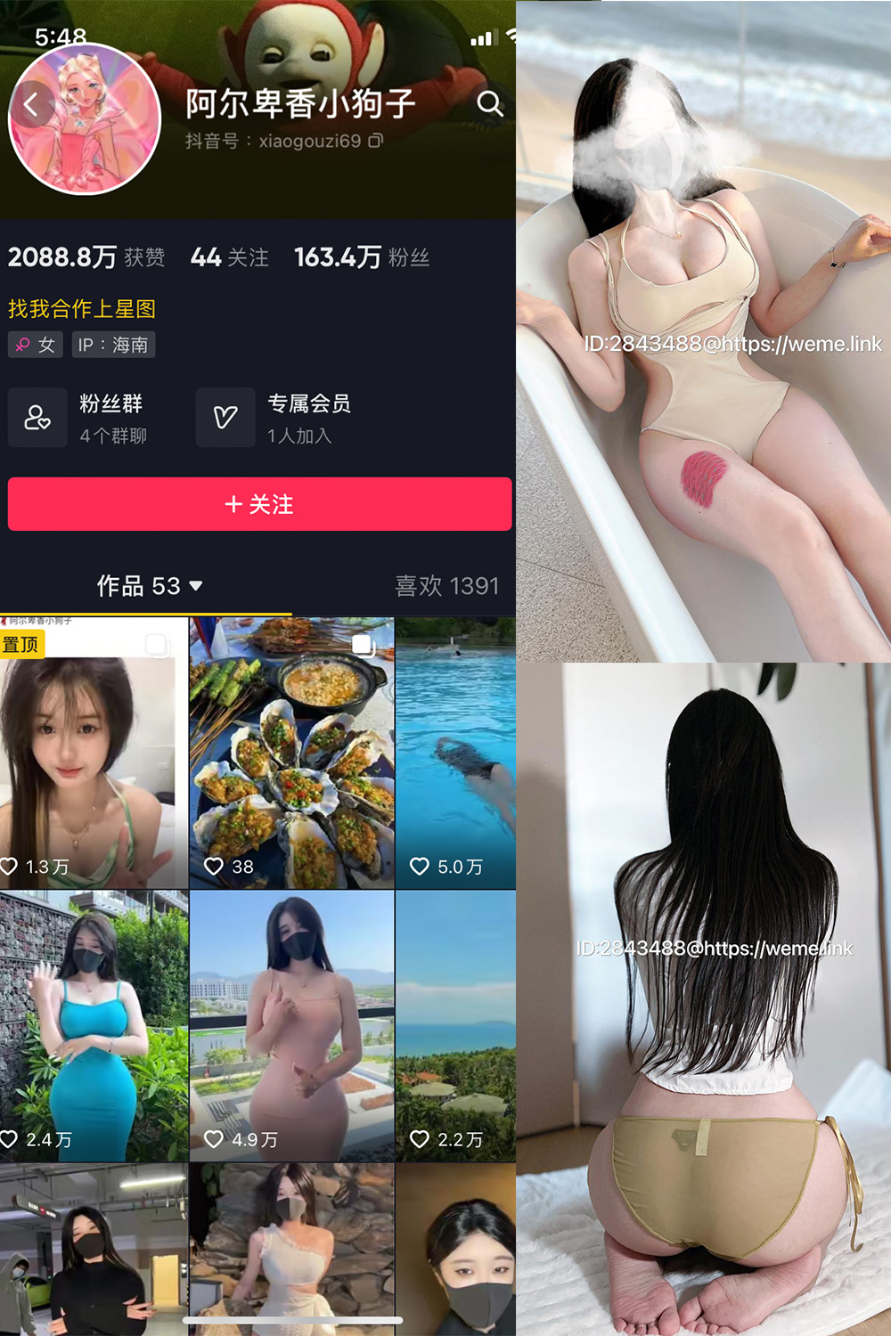 抖音 阿尔卑香小狗子 微密圈图片资源  NO.013期 【46P】最新至：2023.7.31