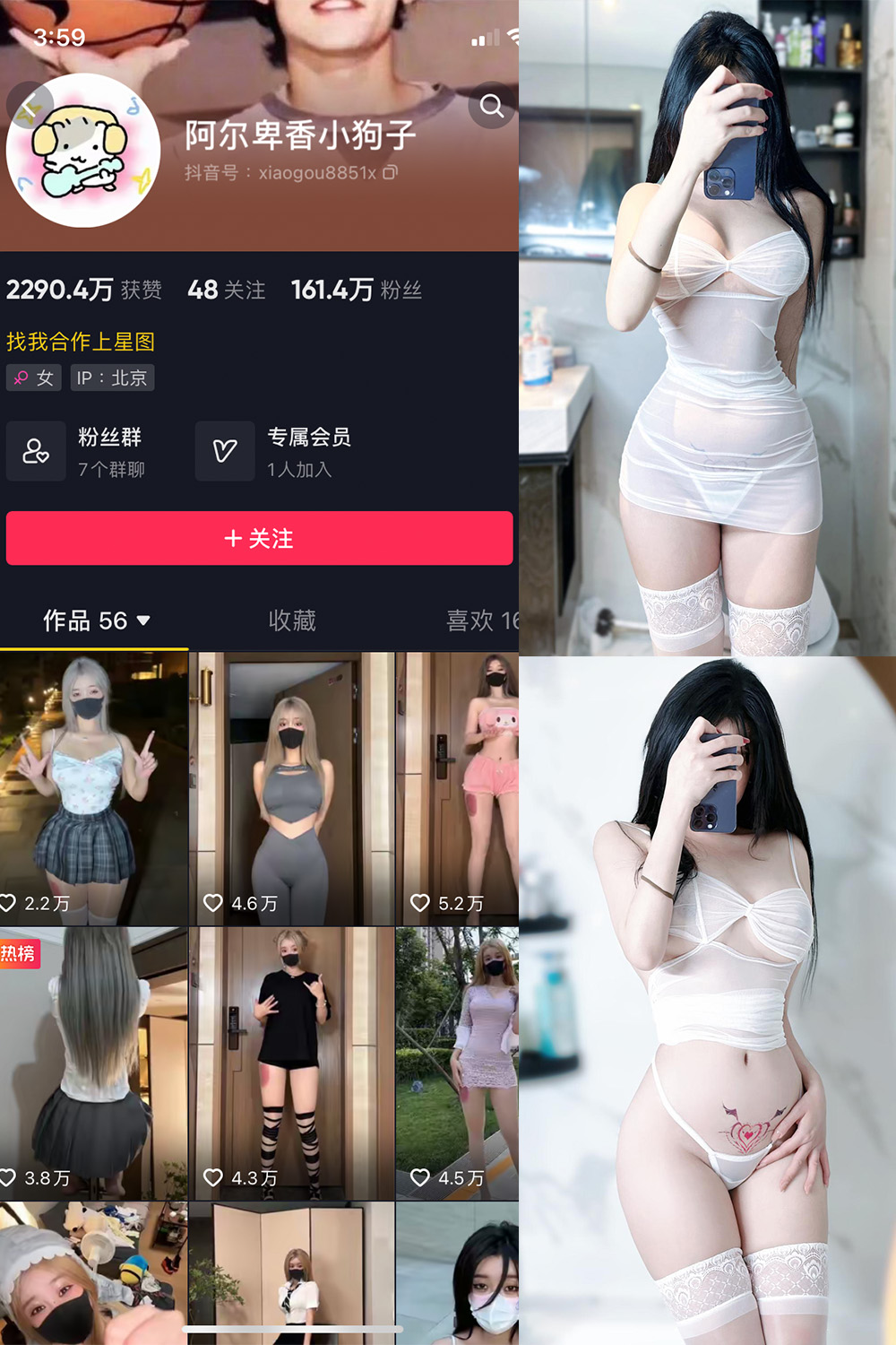 抖音 阿尔卑香小狗子 微密圈图片资源  NO.022期 【9P】最新至：2023.9.7