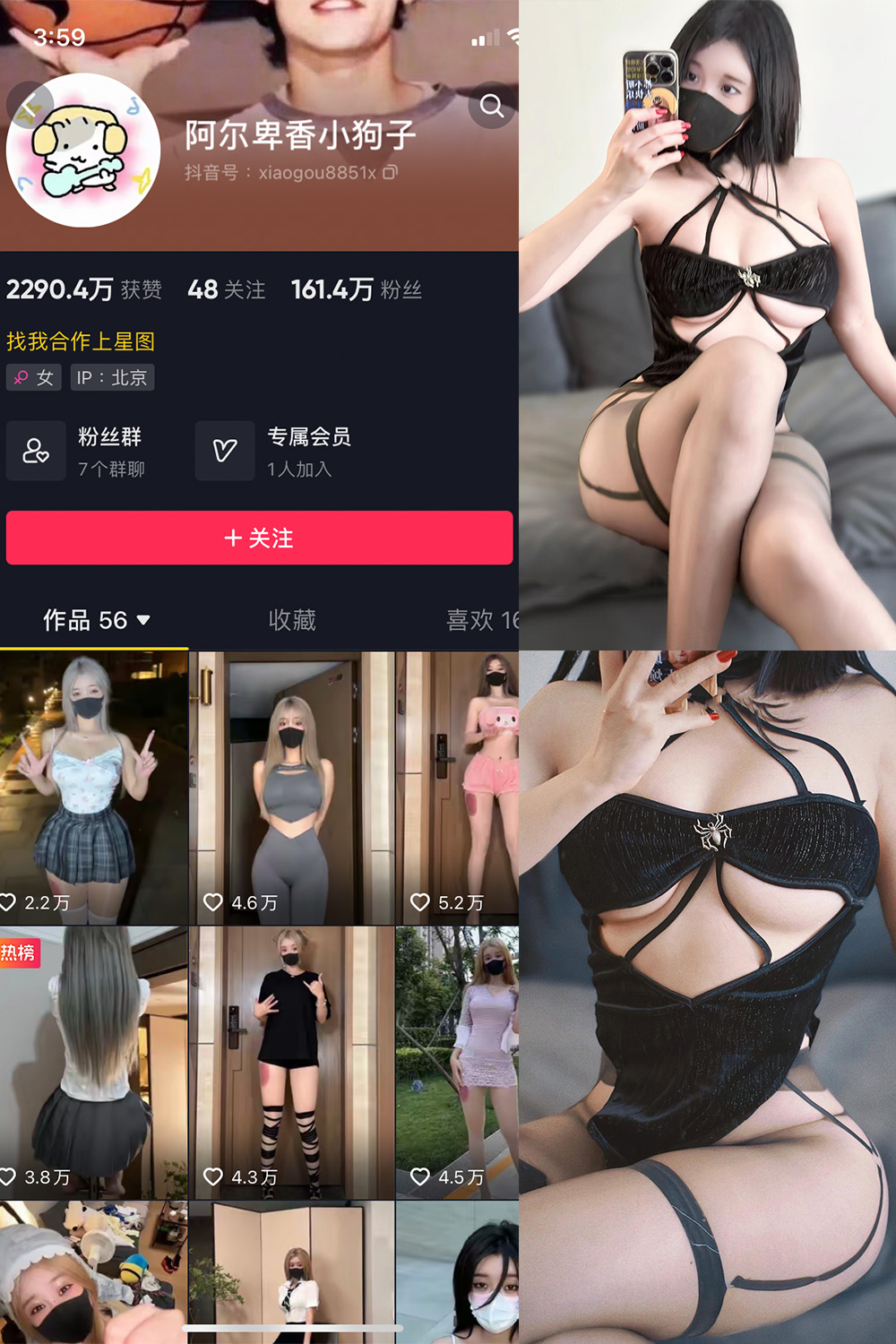 抖音 阿尔卑香小狗子 微密圈图片资源  NO.019期 【14P1V】最新至：2023.8.21