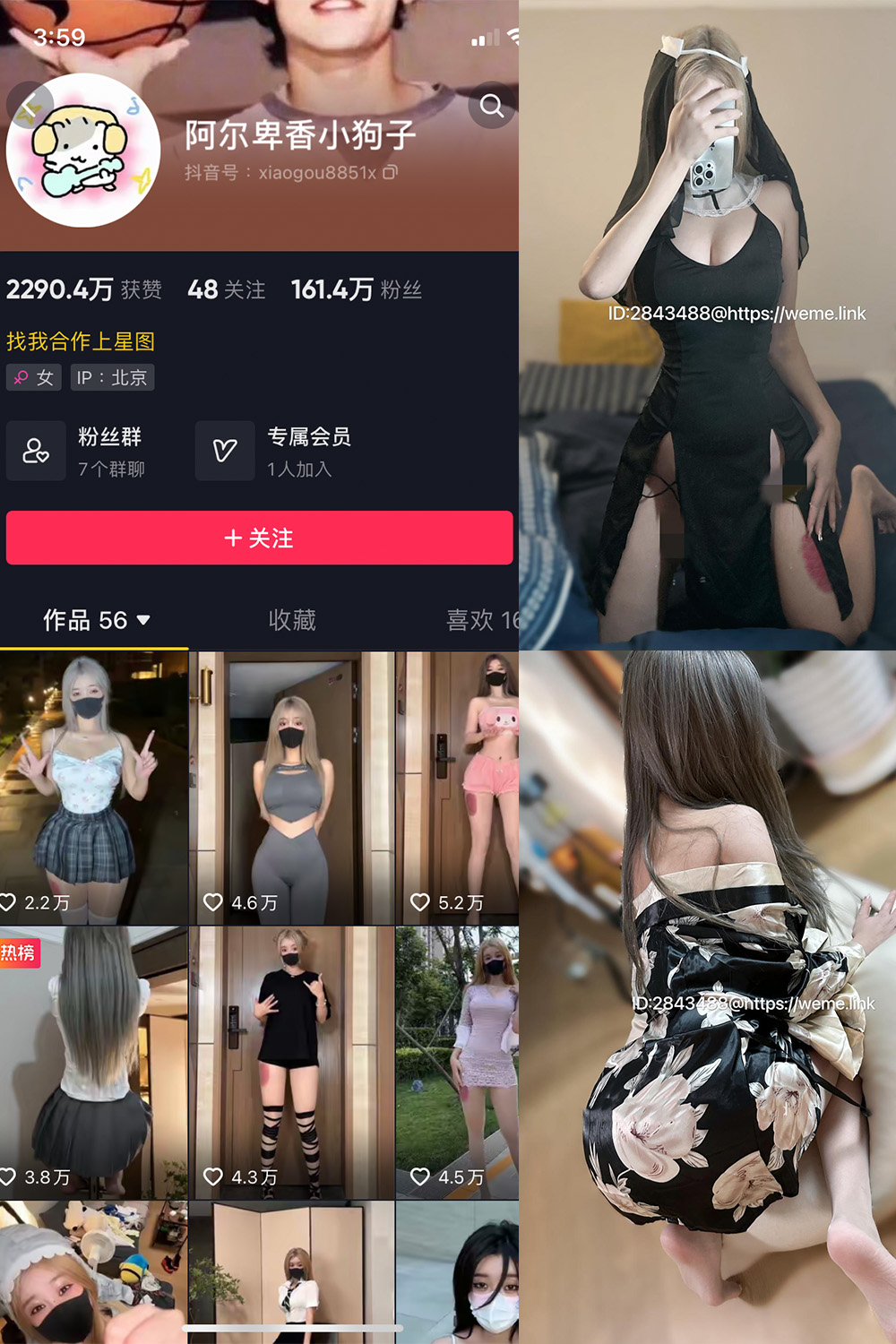 抖音 阿尔卑香小狗子 微密圈图片资源  NO.014期 【54P2V】