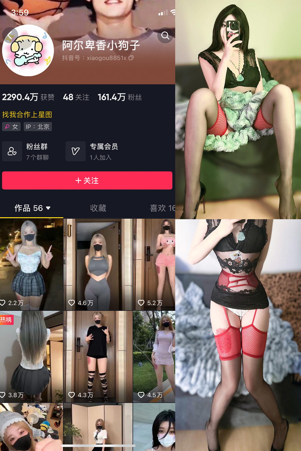 抖音 阿尔卑香小狗子 微密圈图片资源  NO.034期 【26P】最新至：2023.10.23