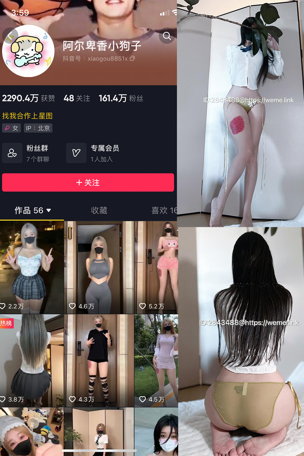抖音 阿尔卑香小狗子 微密圈图片资源 NO.047期 【39P】最新至:2024.6.10 抖音 阿尔卑香小狗子 微密圈图片资源 NO.047期 【39P】最新至:2024.6.10
