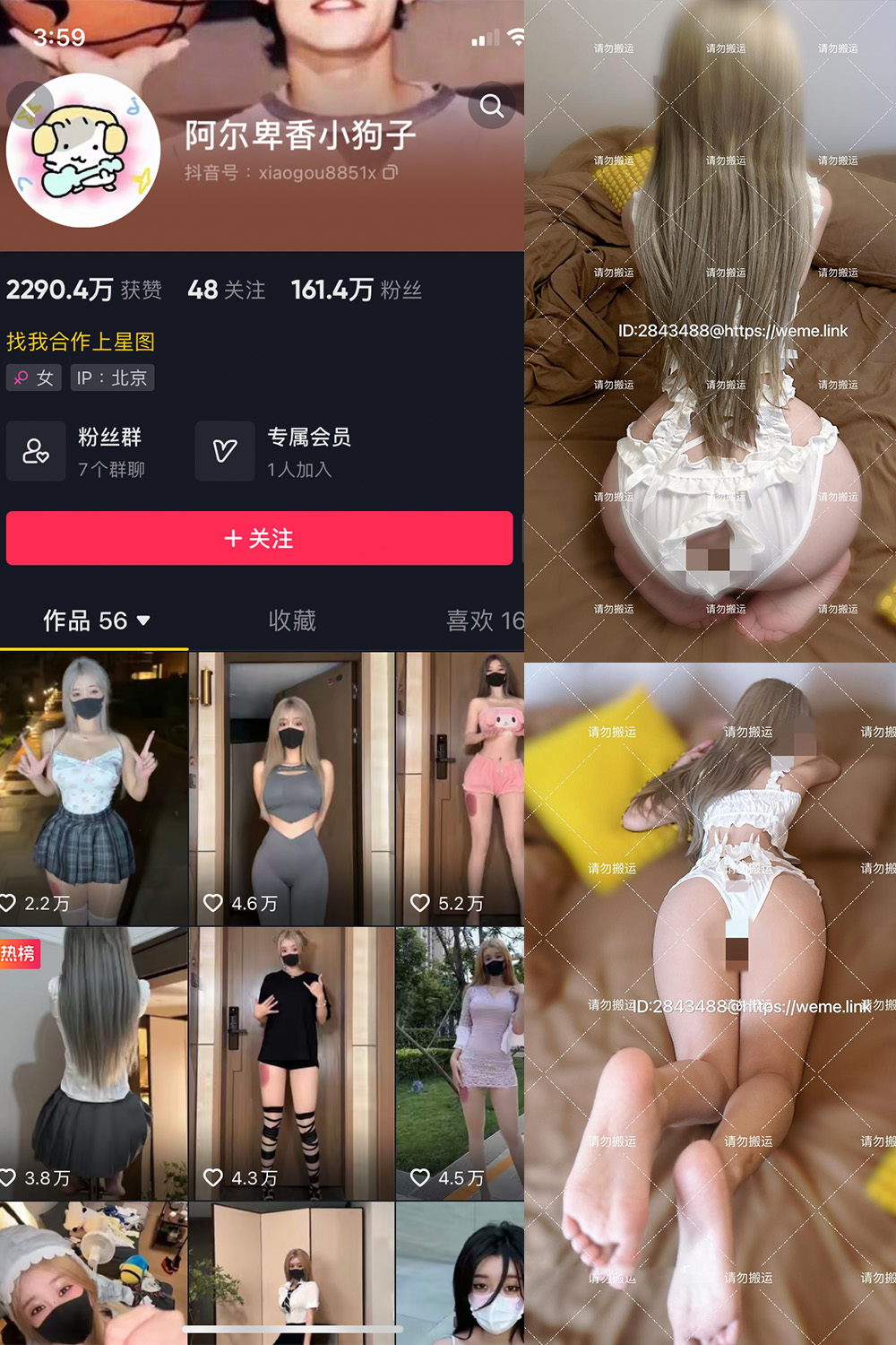 抖音 阿尔卑香小狗子 微密圈图片资源 NO.054期 【16P1V】最新至:2024.8.7 抖音 阿尔卑香小狗子 微密圈图片资源 NO.054期 【16P1V】最新至:2024.8.7