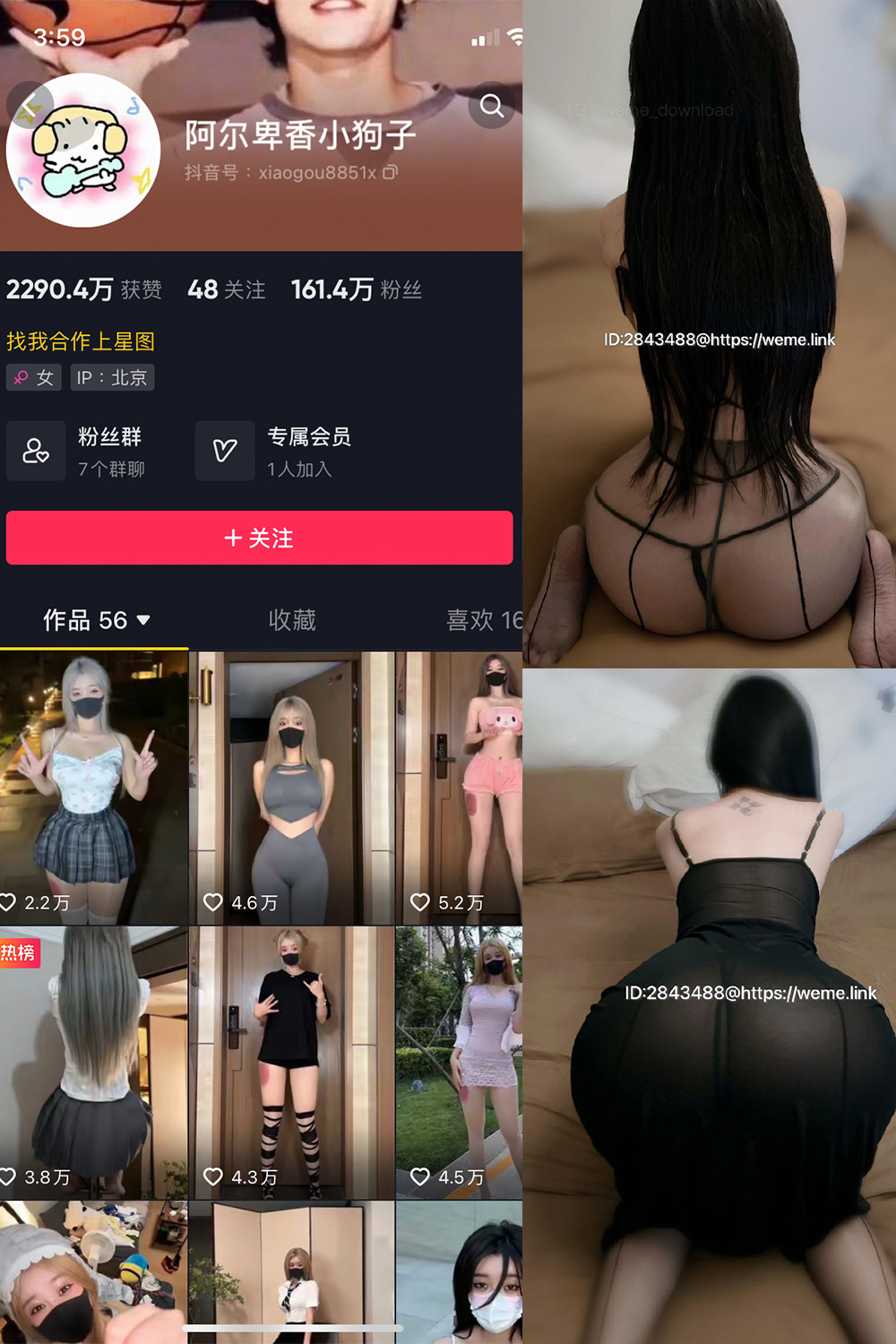 抖音 阿尔卑香小狗子 微密圈图片资源 NO.057期 【36P1V】最新至:2024.9.3 抖音 阿尔卑香小狗子 微密圈图片资源 NO.057期 【36P1V】最新至:2024.9.3