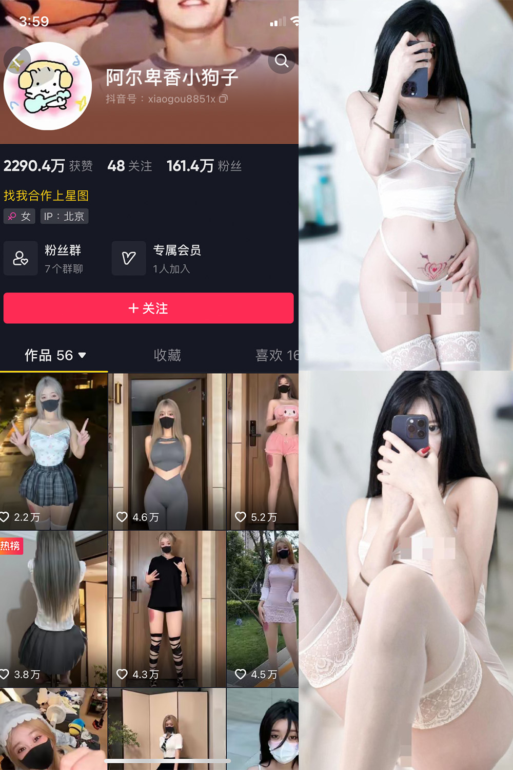 抖音 阿尔卑香小狗子 微密圈图片资源  NO.043期 【18P1V】最新至：2024.1.26
