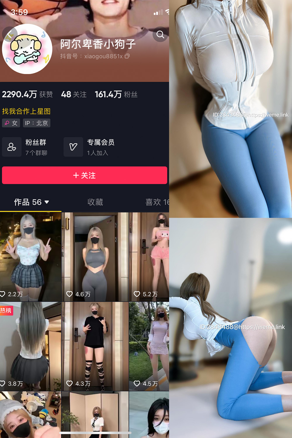 抖音 阿尔卑香小狗子 微密圈图片资源  NO.017期 【34P1V】