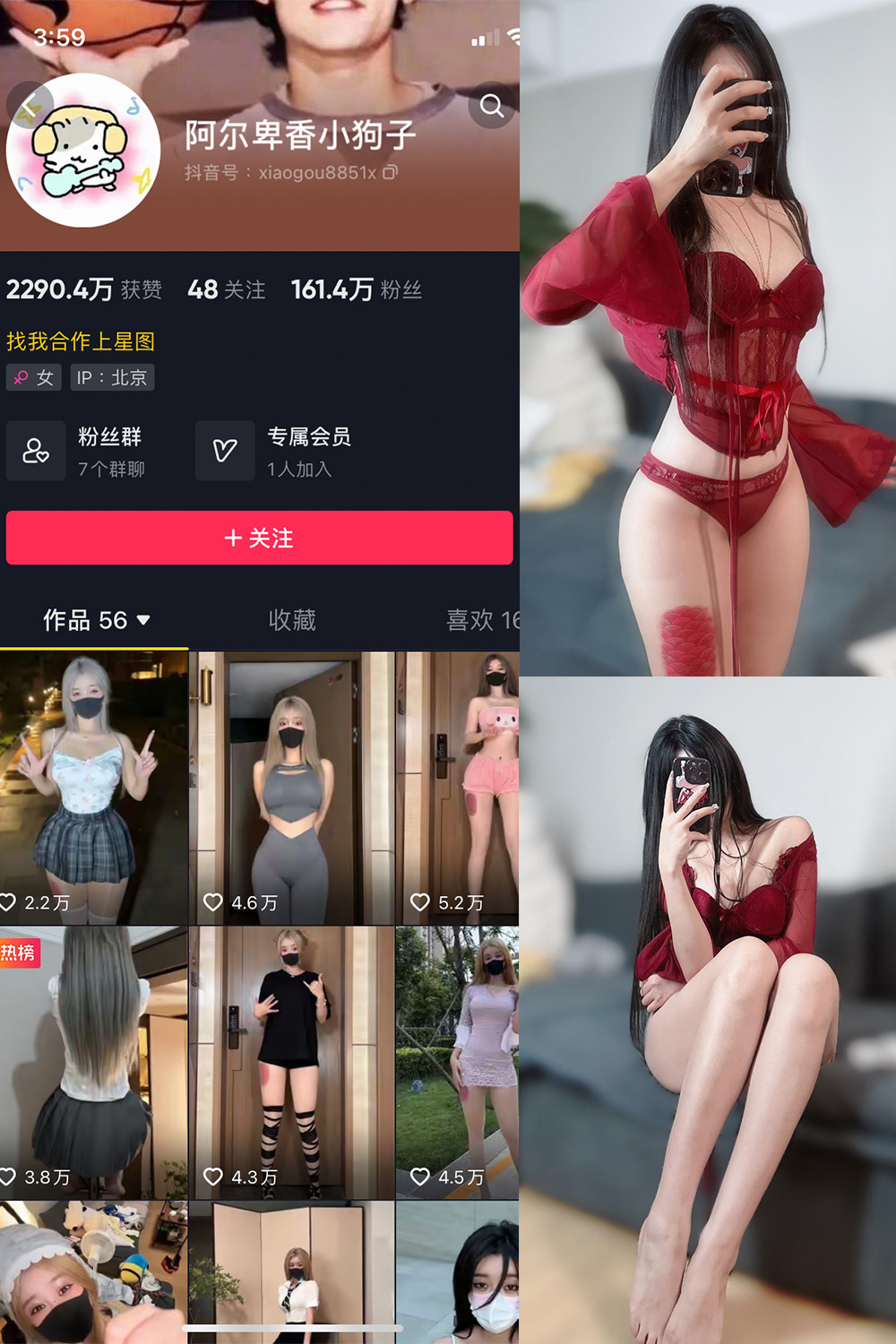 抖音 阿尔卑香小狗子 微密圈图片资源  NO.025期 【10P2V】最新至：2023.9.20