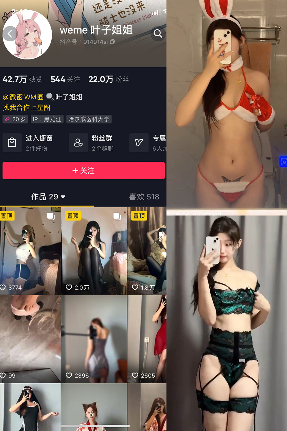 抖音 叶子姐姐 微密圈图片资源  NO.024期 【11P14V】最新至：2024.1.02