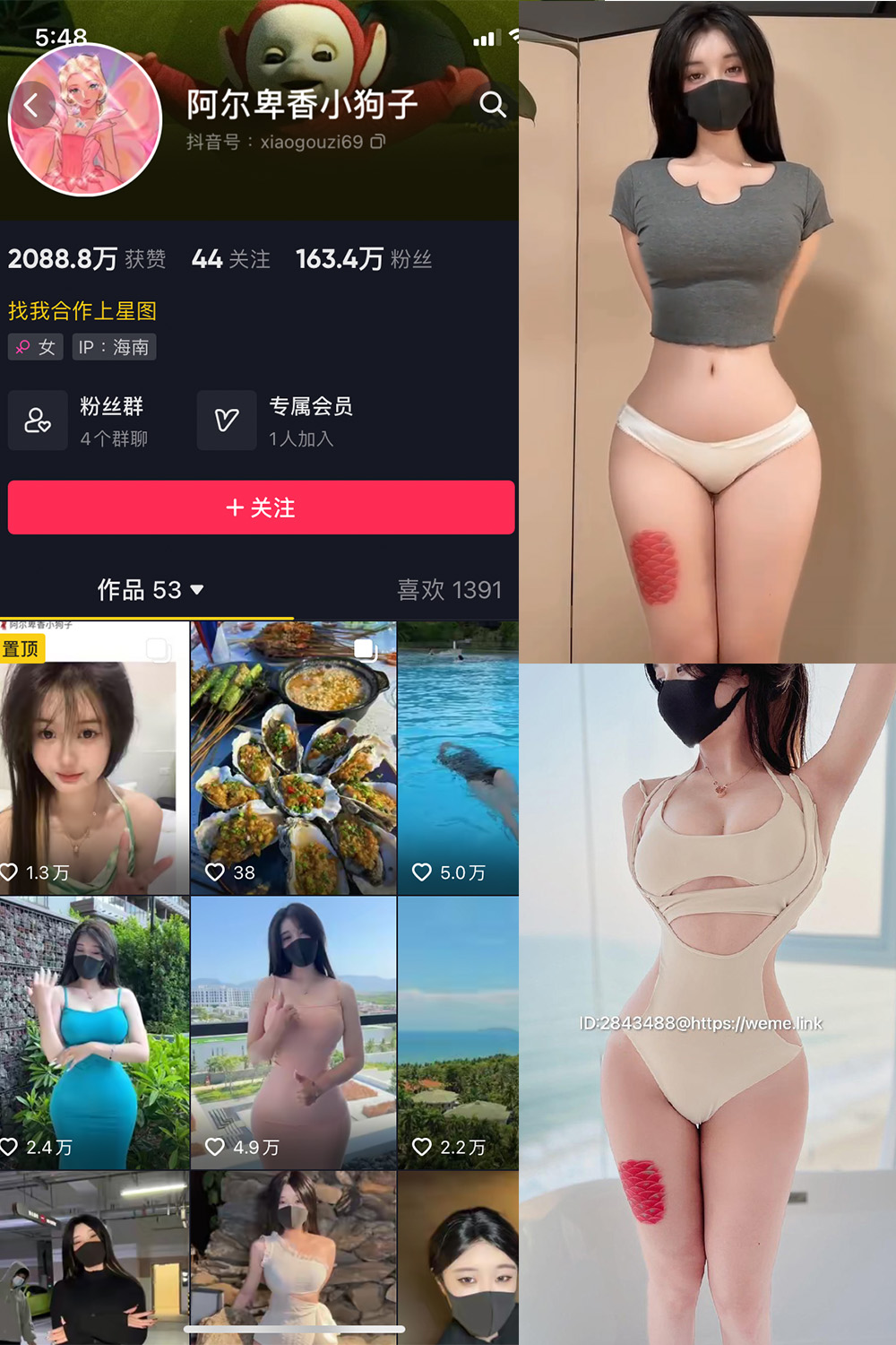 抖音 阿尔卑香小狗子 微密圈图片资源  NO.012期 【7P1V】最新至：2023.7.29