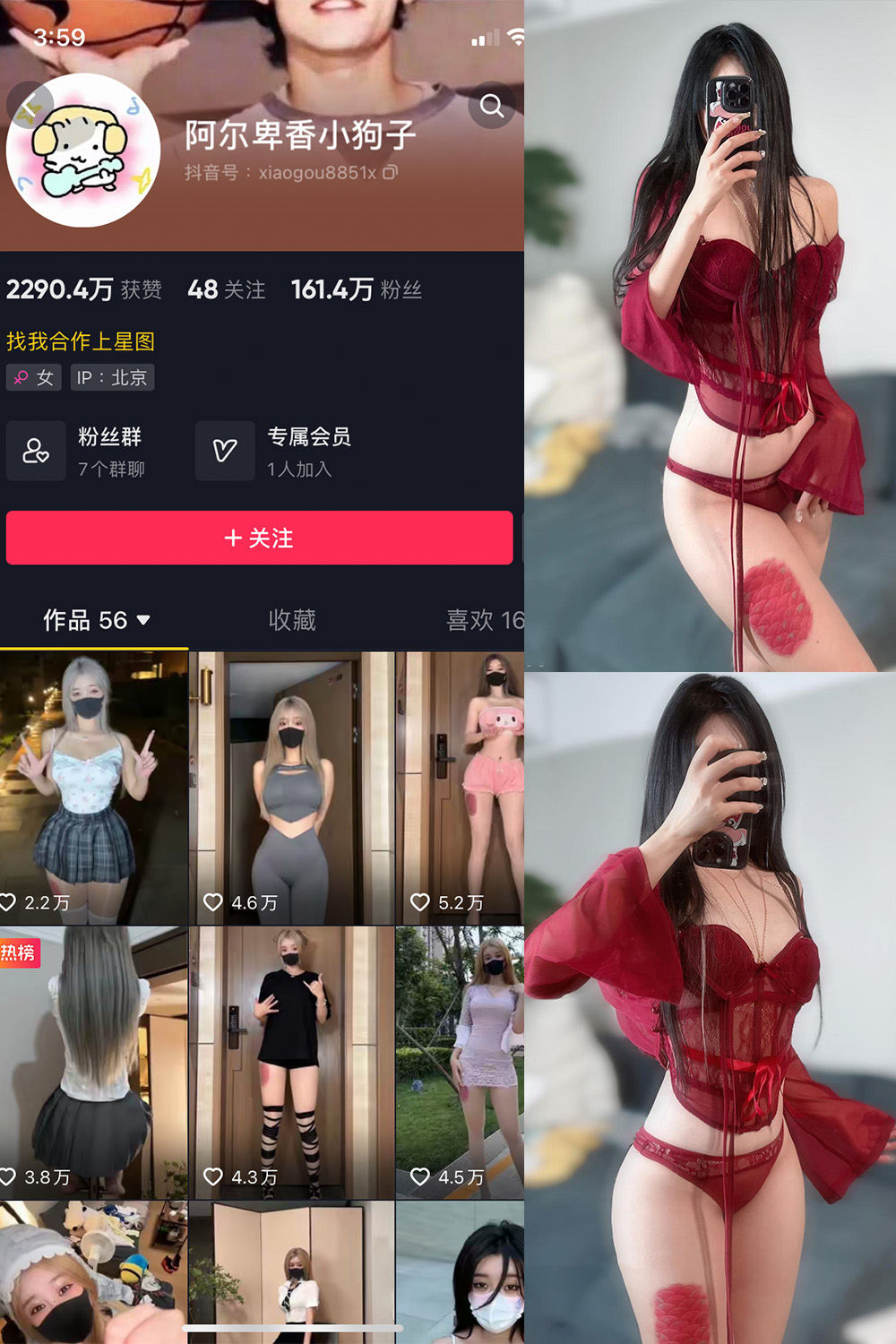 抖音 阿尔卑香小狗子 微密圈图片资源  NO.056期 【10P2V】最新至：2024.8.25
