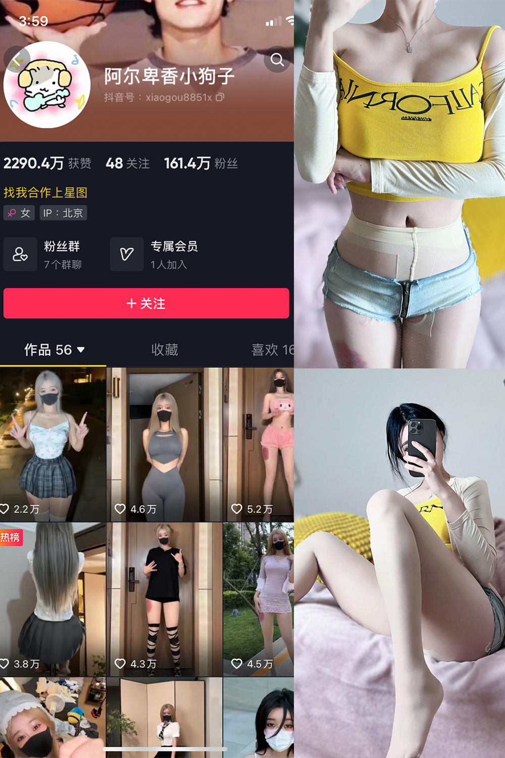 抖音 阿尔卑香小狗子 微密圈图片资源  NO.032期 【22P】