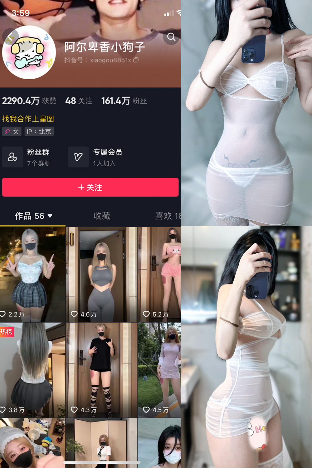 抖音 阿尔卑香小狗子 微密圈图片资源  NO.028期 【33P】最新至：2023.10.1