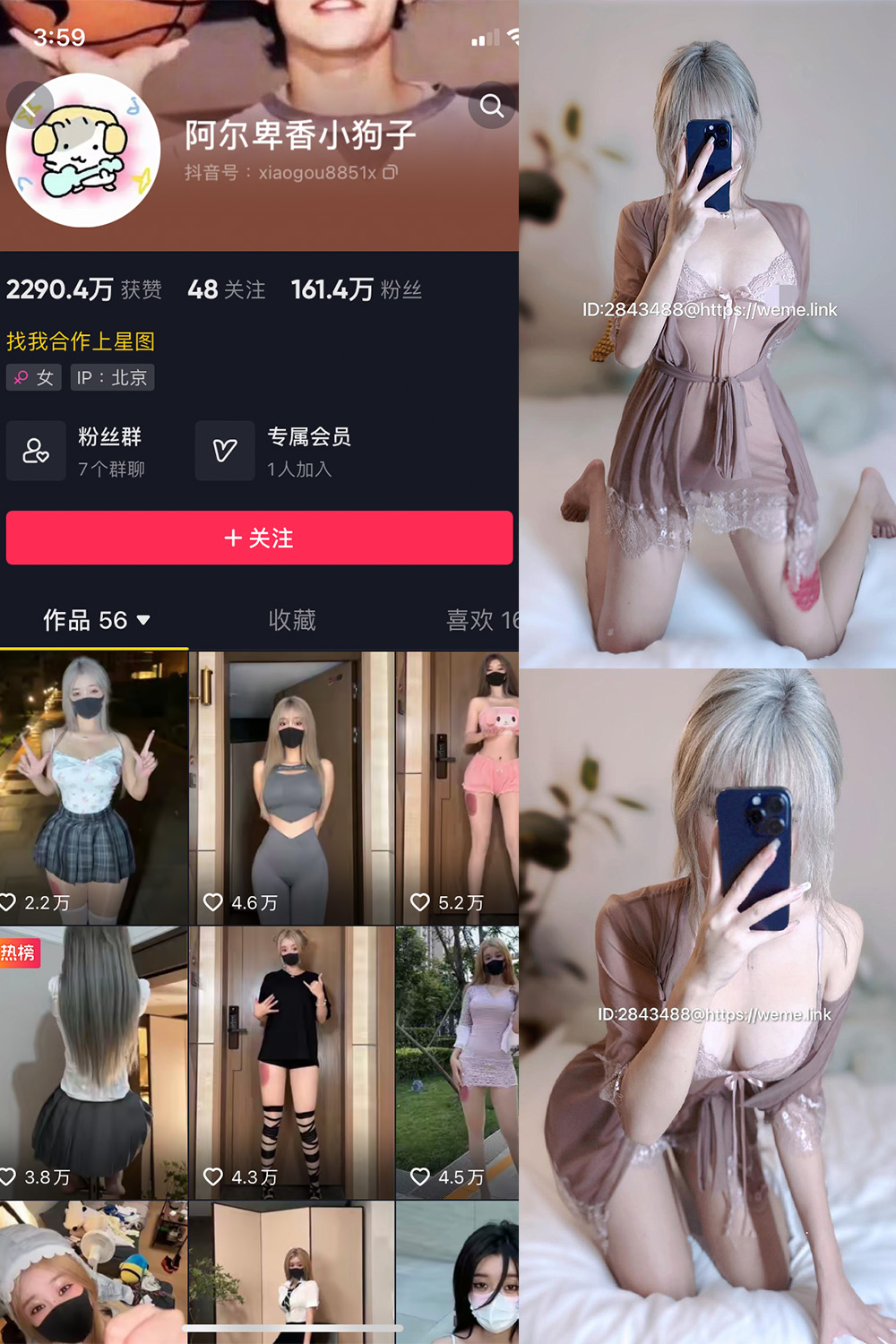 抖音 阿尔卑香小狗子 微密圈图片资源  NO.016期 【33P】