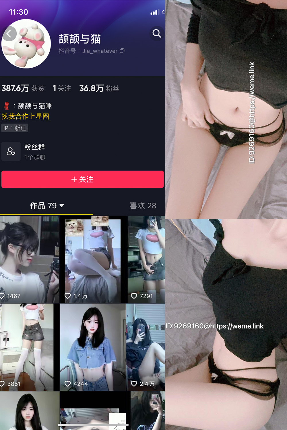 抖音 颉颉与猫 微密圈图片资源  NO.004期 【9P14V】最新至：2023.10.14