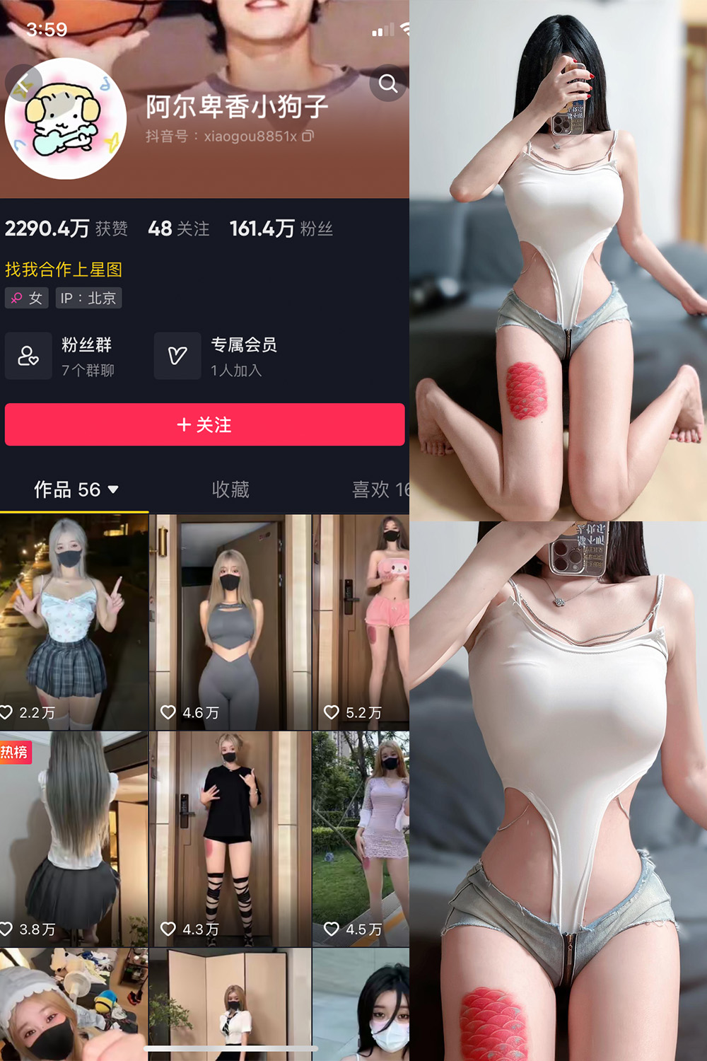 抖音 阿尔卑香小狗子 微密圈图片资源  NO.020期 【17P】最新至：2023.8.23