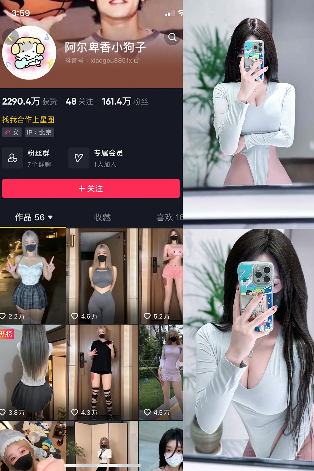 抖音 阿尔卑香小狗子 微密圈图片资源  NO.041期 【10P2V】最新至：2024.1.05