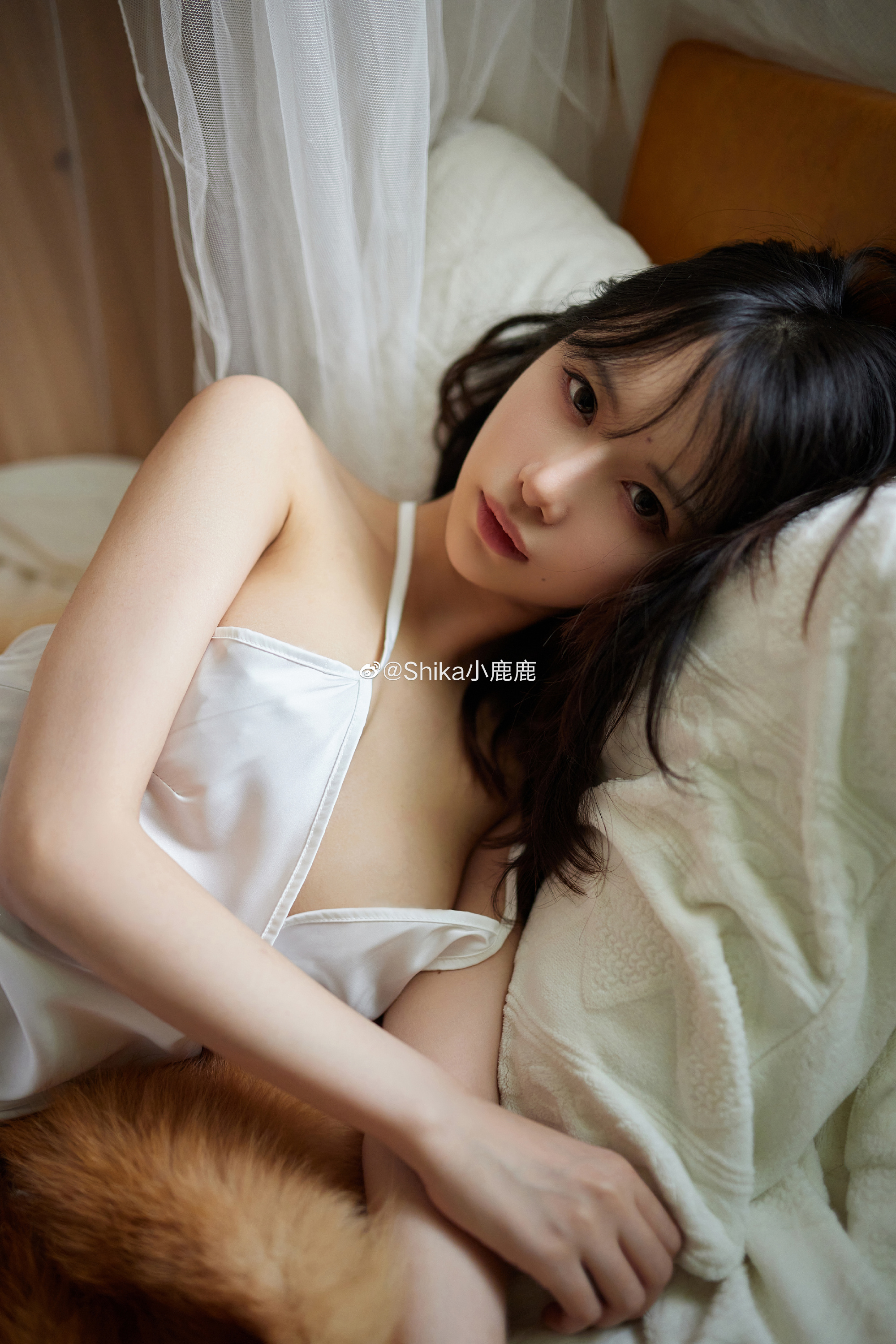 集美貌和气质为一体的Shika小鹿鹿cos浊心斯卡蒂照片欣赏