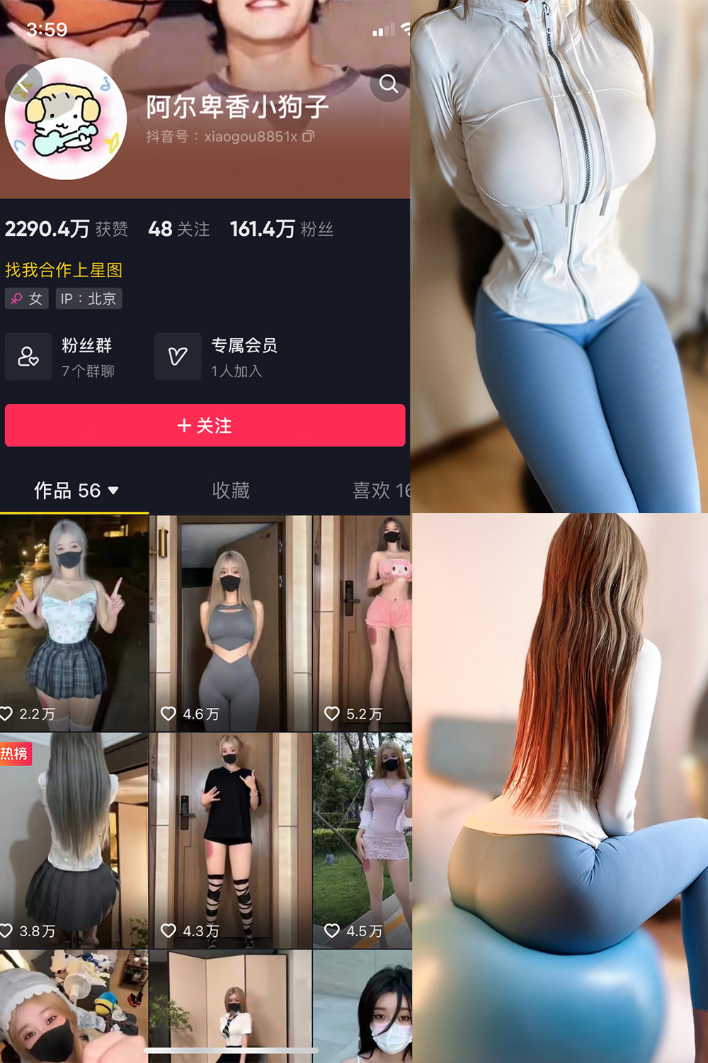 抖音 阿尔卑香小狗子 微密圈图片资源  NO.029期 【30P】最新至：2023.10.2